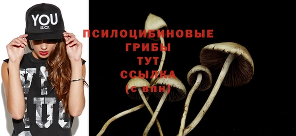 стаф Абдулино
