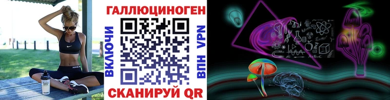 Галлюциногенные грибы Psilocybine cubensis Зубцов
